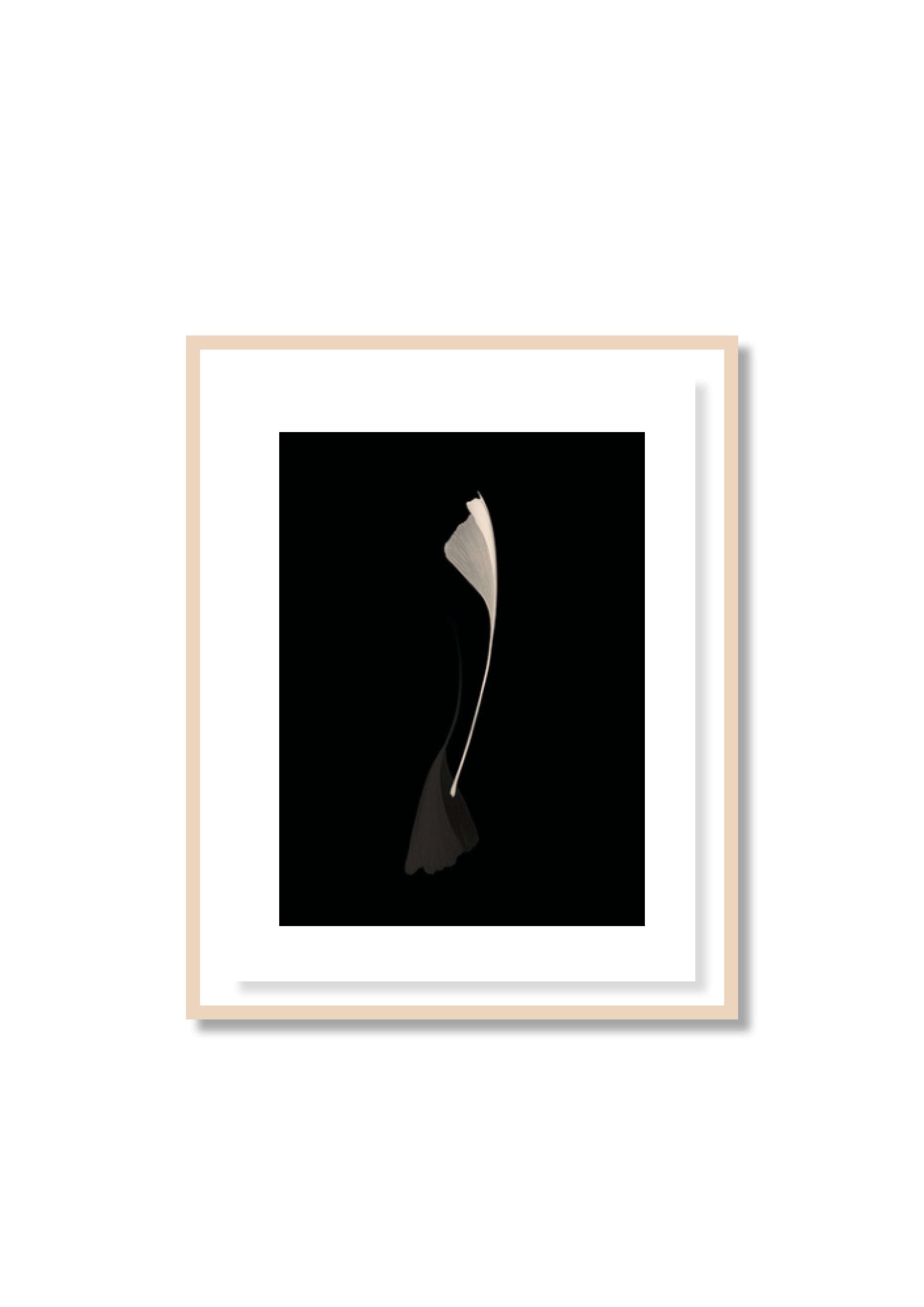 Antoine Khôl | Untitled 2001 - Ginko