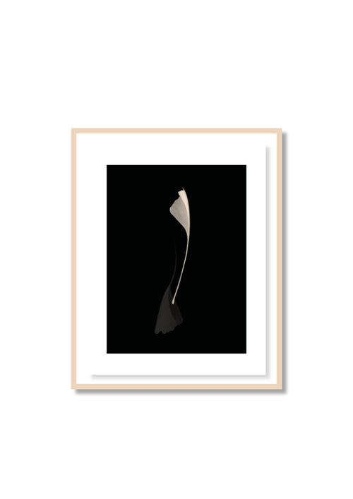 Antoine Khôl | Untitled 2001 - Ginko