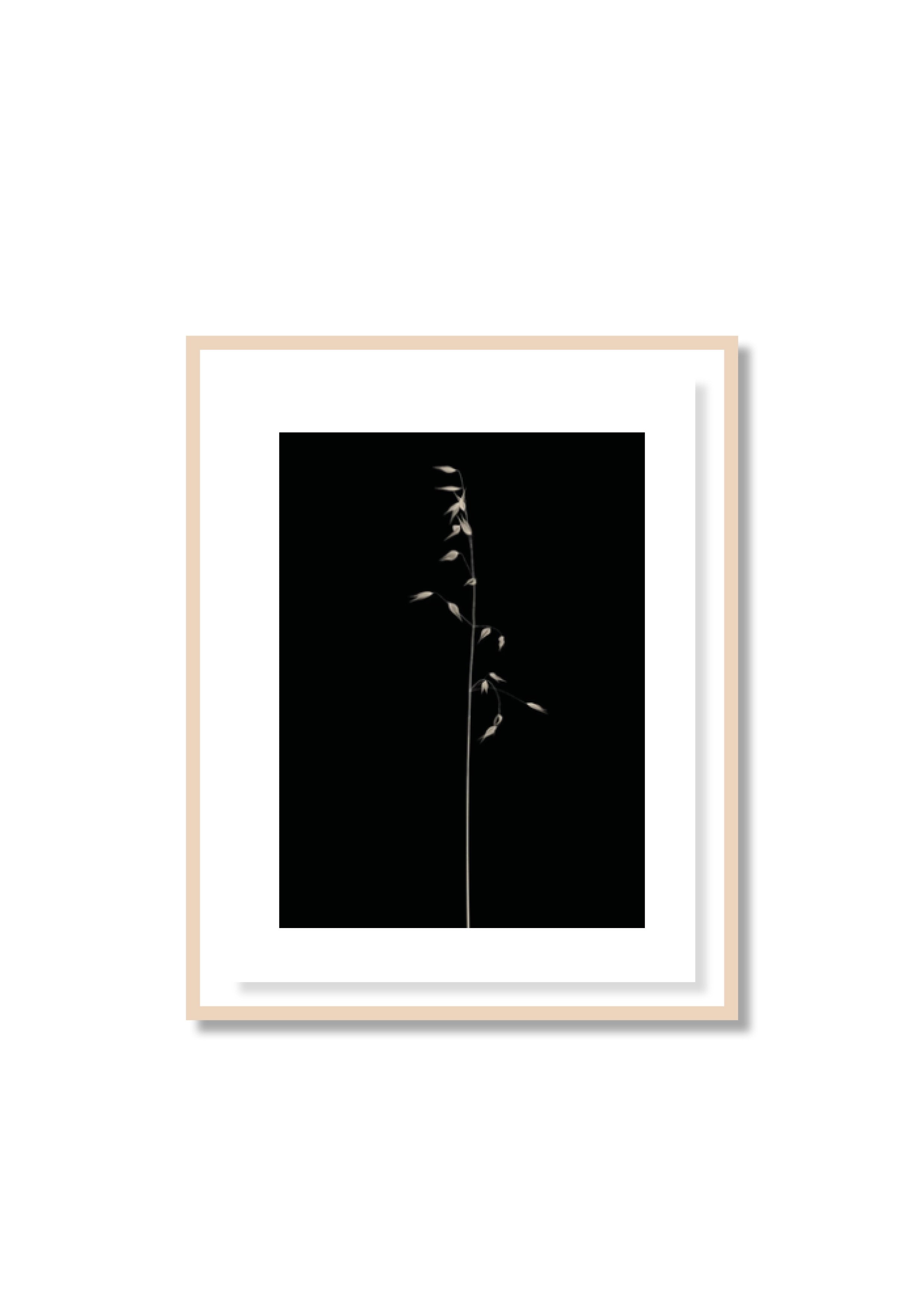 Antoine Khôl | Untitled 1G