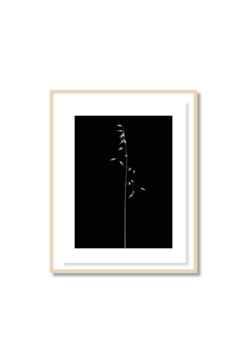Antoine Khôl | Untitled 1G