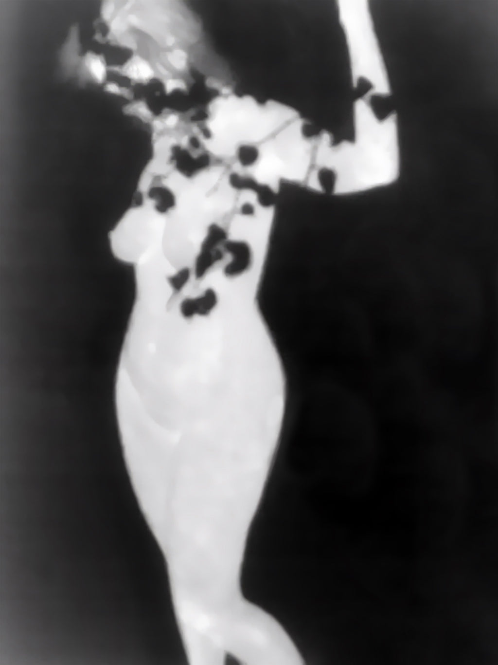 Olga Wagemans | Purity veiled