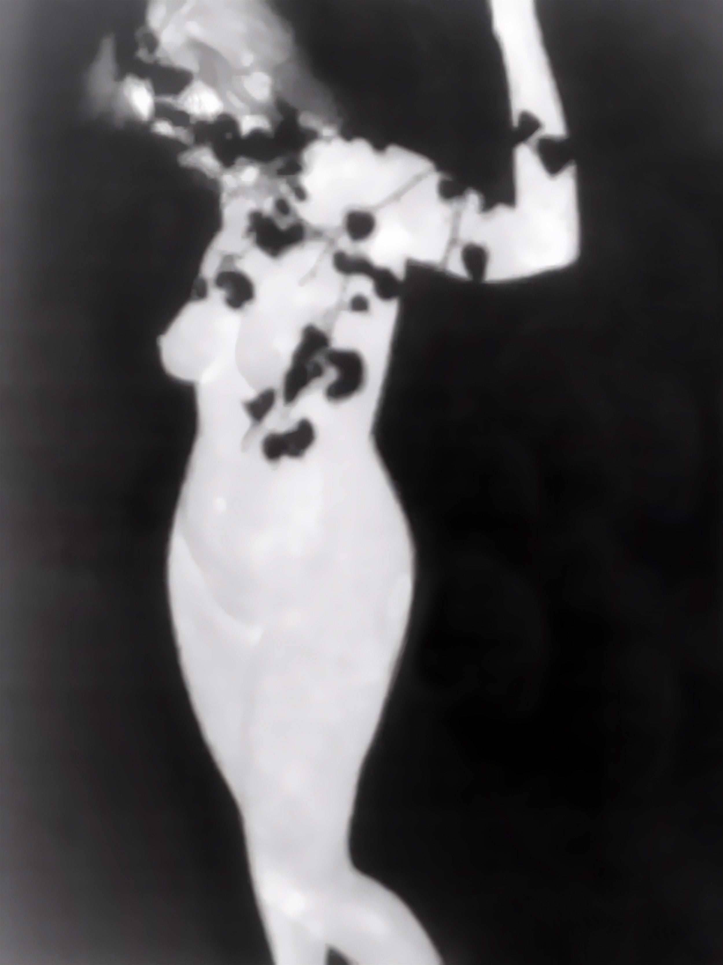 Olga Wagemans | Purity veiled