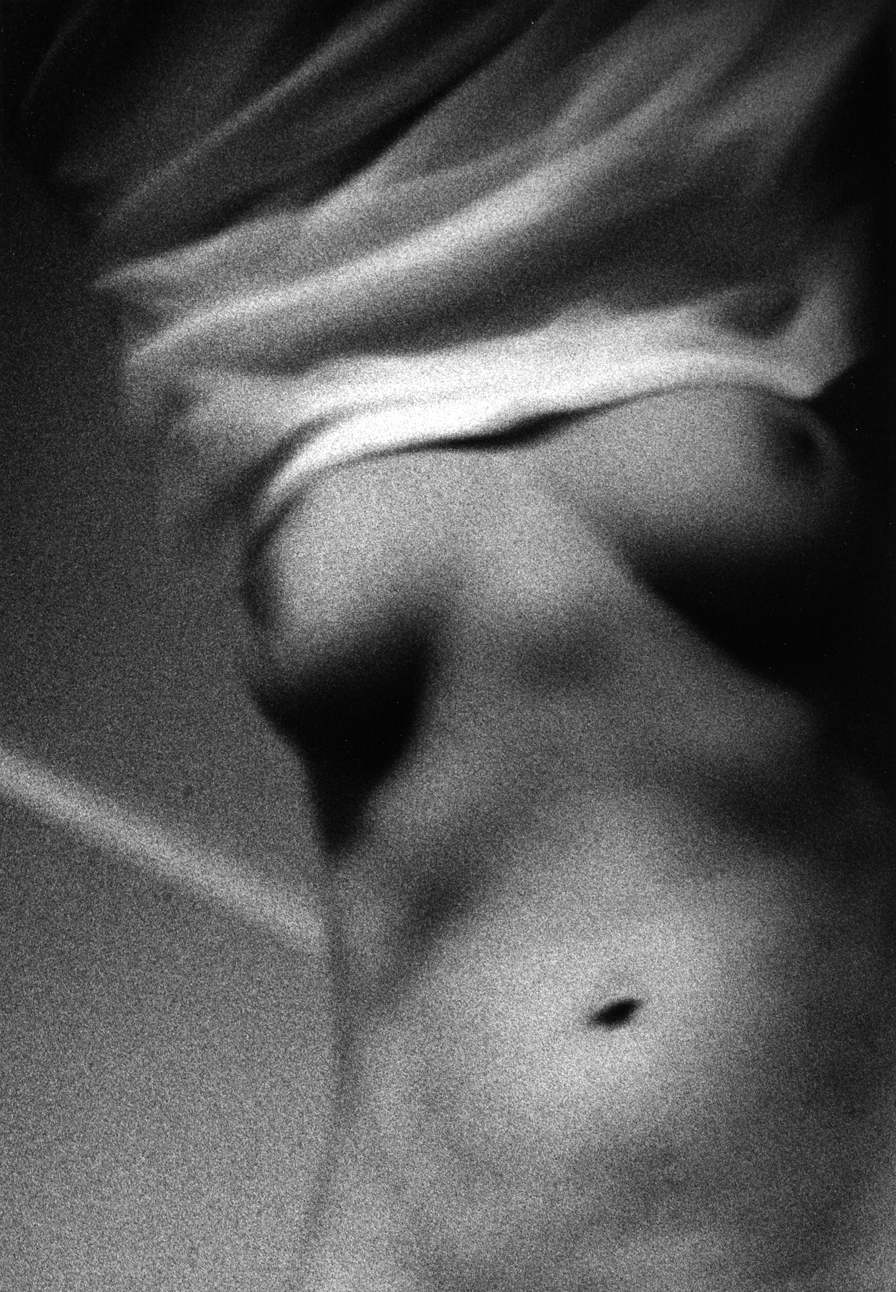 Barry Kornbluh | Torso Undresssing
