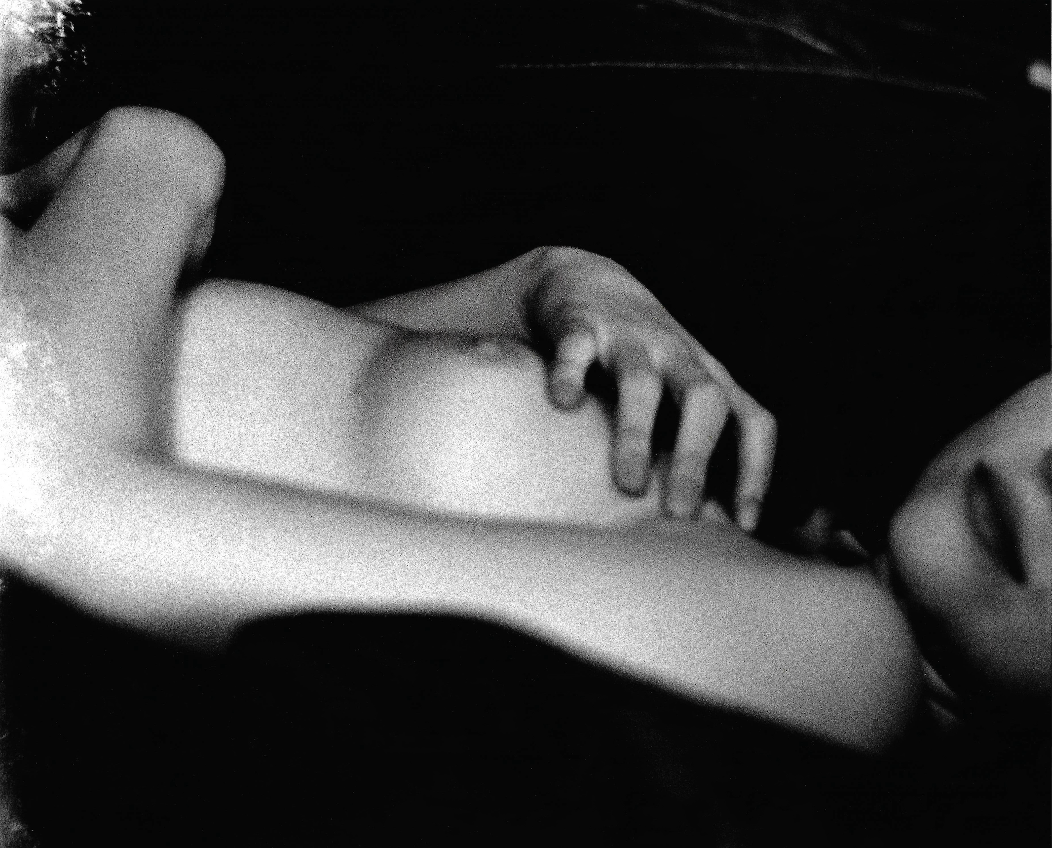 Barry Kornbluh | Misty velvet