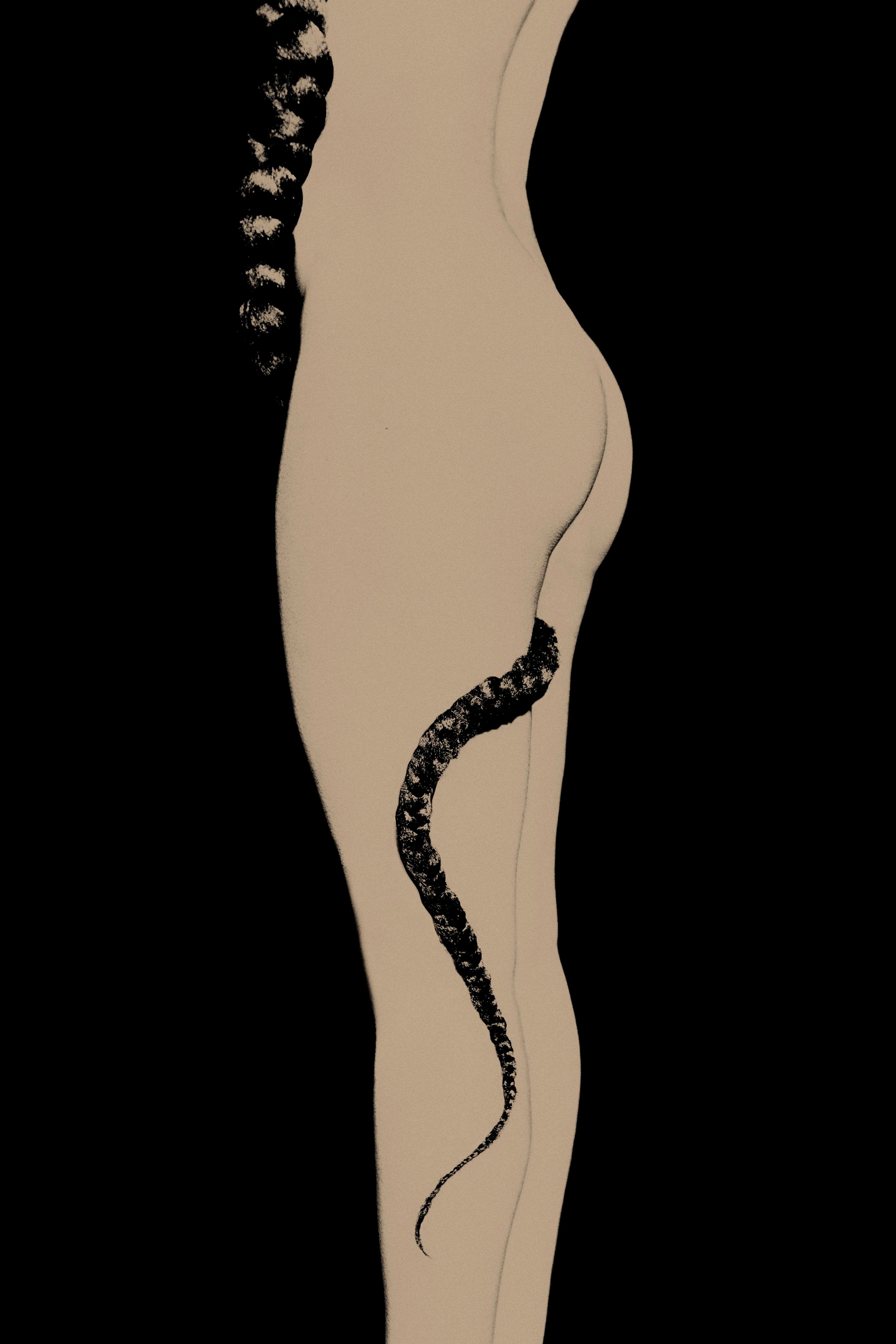 Sara Punt | Snake
