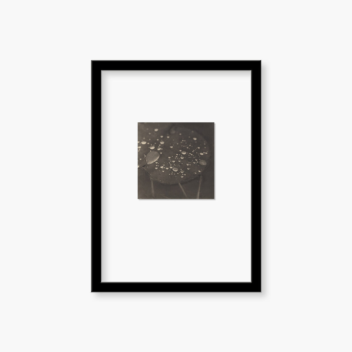 Takeshi Shikama | The Real Photobook  "Shape of Water" + framed print